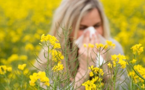 How Do Seasonal Allergies Affect Your Oral Health
