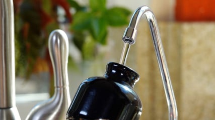 Does Fluoride Help Fight Cavities?